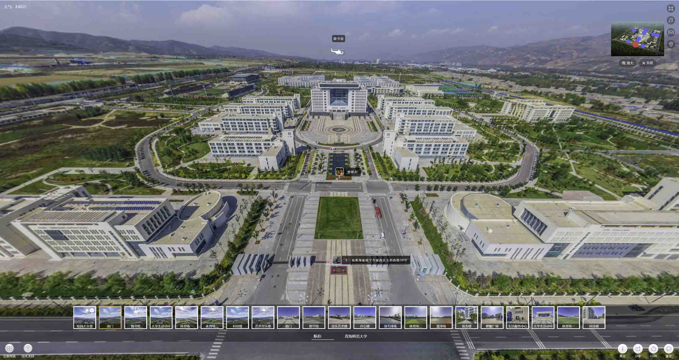 安定油菜花-惊艳半生的花海仙境